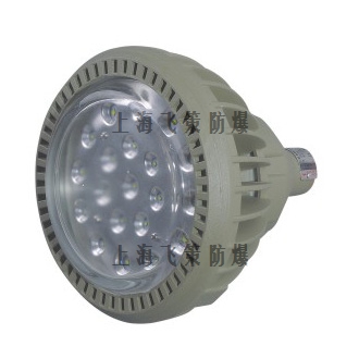 BCd6310防爆高效節(jié)能LED燈